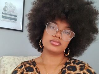 Princessarcana reading online